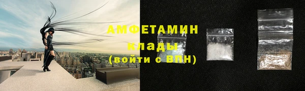 амф Сосновка