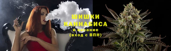 дурь Невьянск