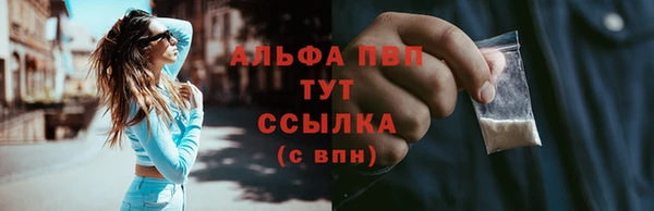 крисы Инсар