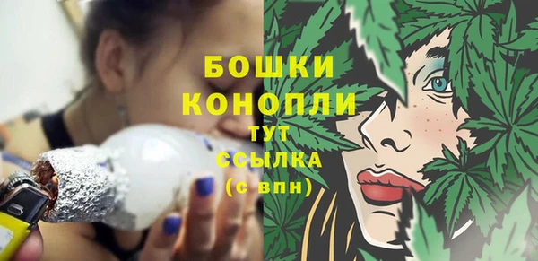 эйфоретик Сосновый Бор