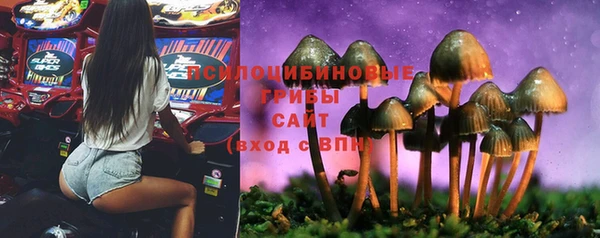 эйфоретик Сосновый Бор
