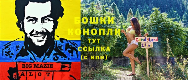 амф Сосновка