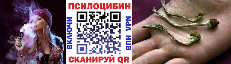 Галлюциногенные грибы Psilocybe  кракен ТОР  Урай 